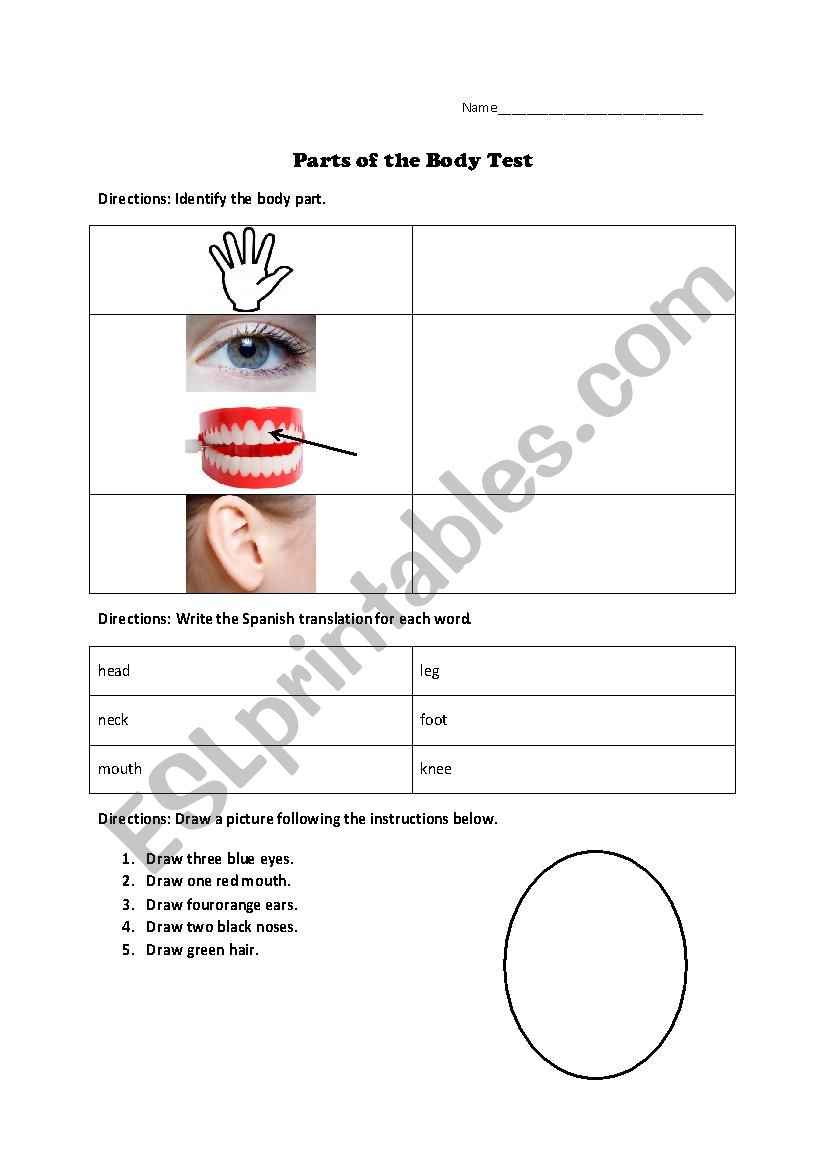 Body Parts Quiz for beginners worksheet