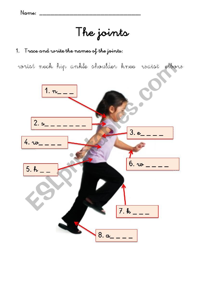 The Joints worksheet