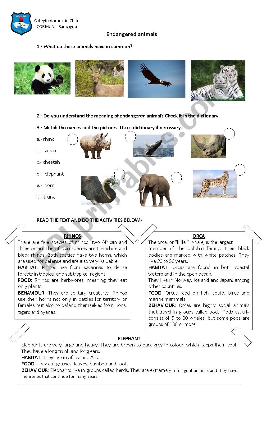 endanger animals worksheet