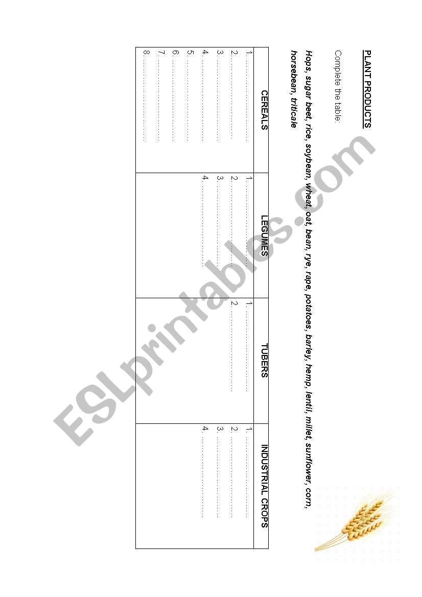 Plant products worksheet