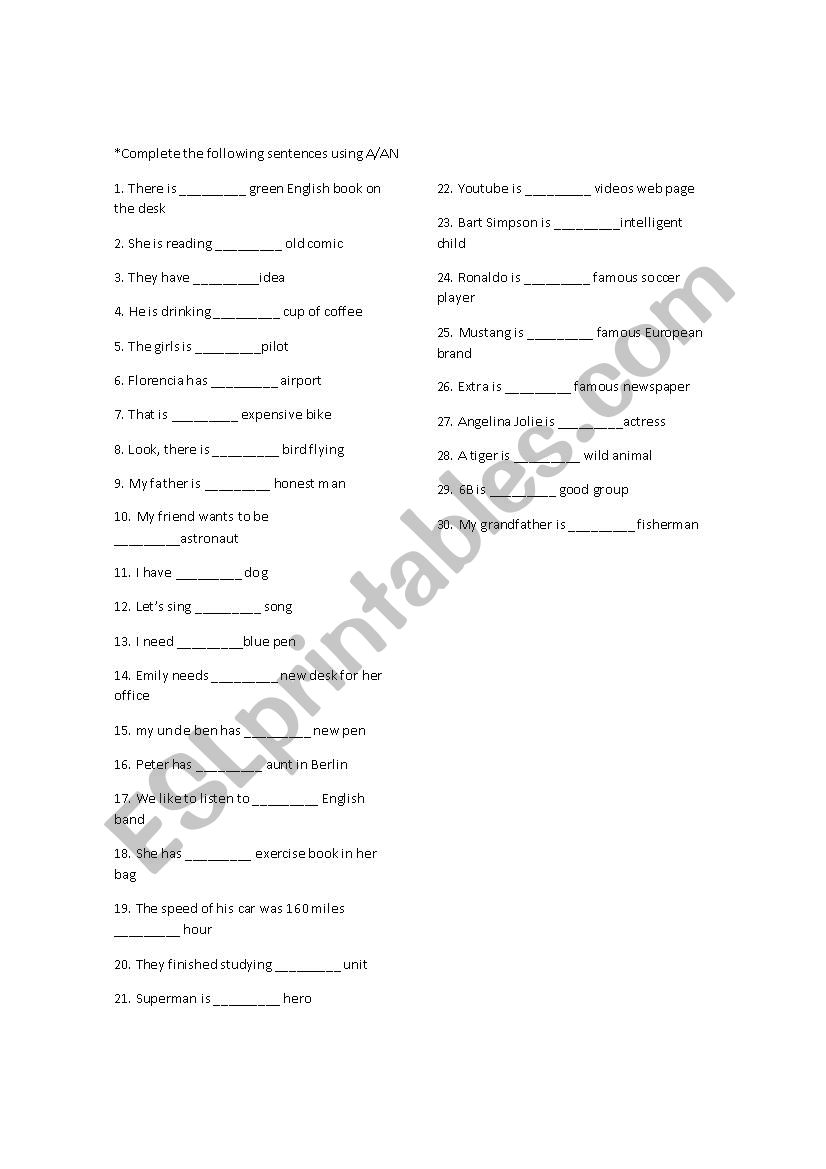 A-AN Practice Workshop worksheet