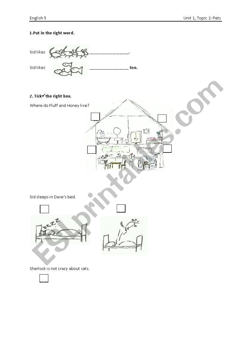 Pets! worksheet