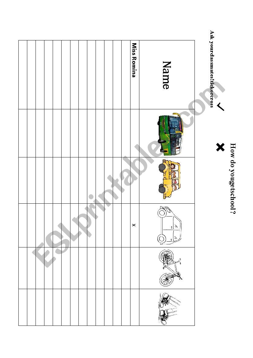 Survey Directions worksheet