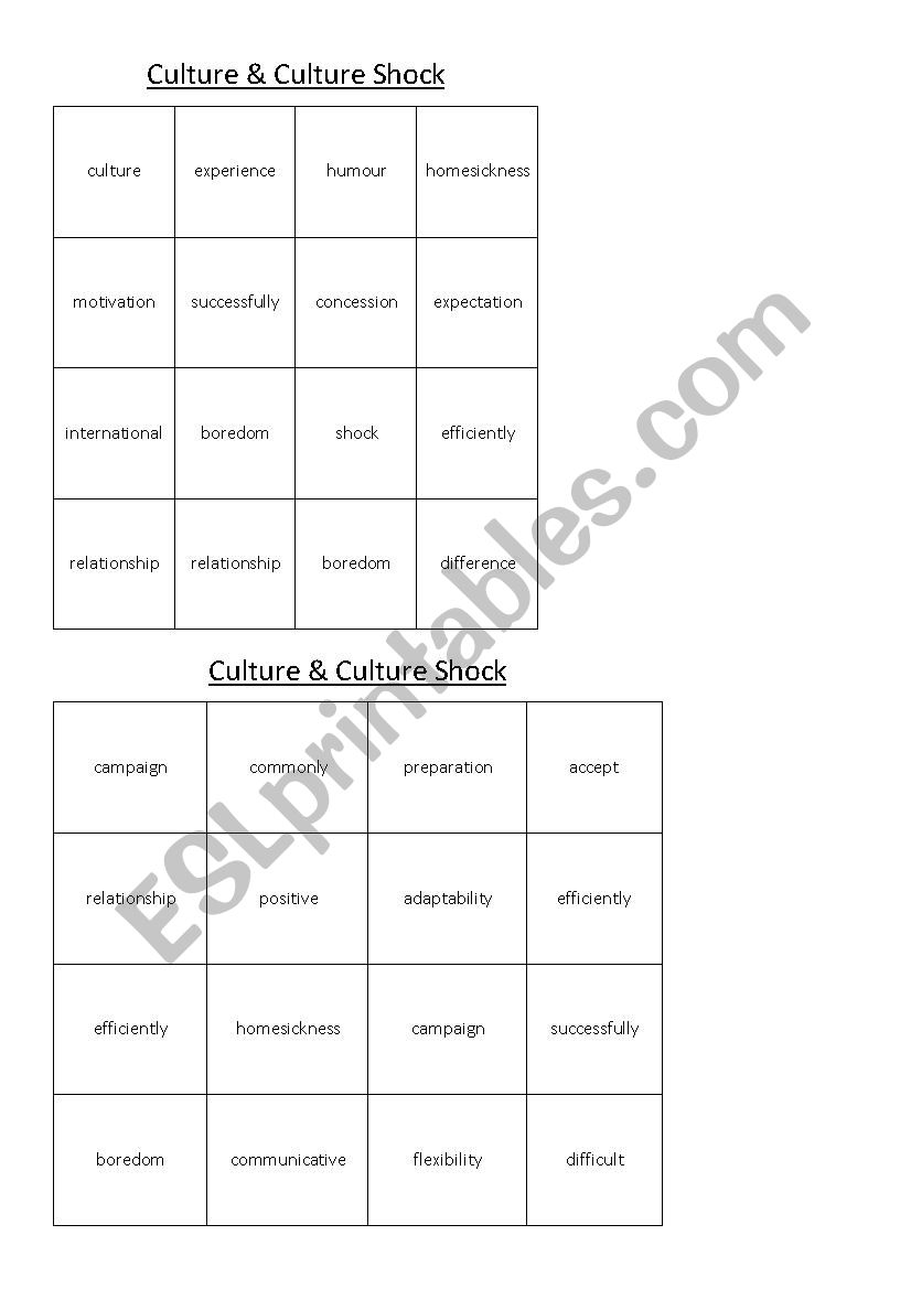 Culture and Culture Shock Bingo