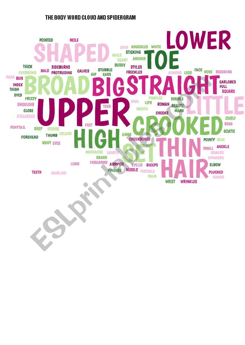 The body, word cloud and spidergram
