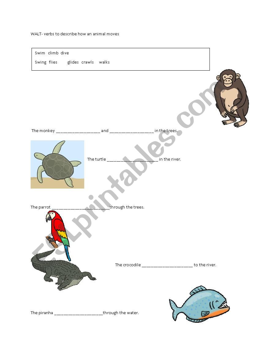 Amazon animals verbs worksheet