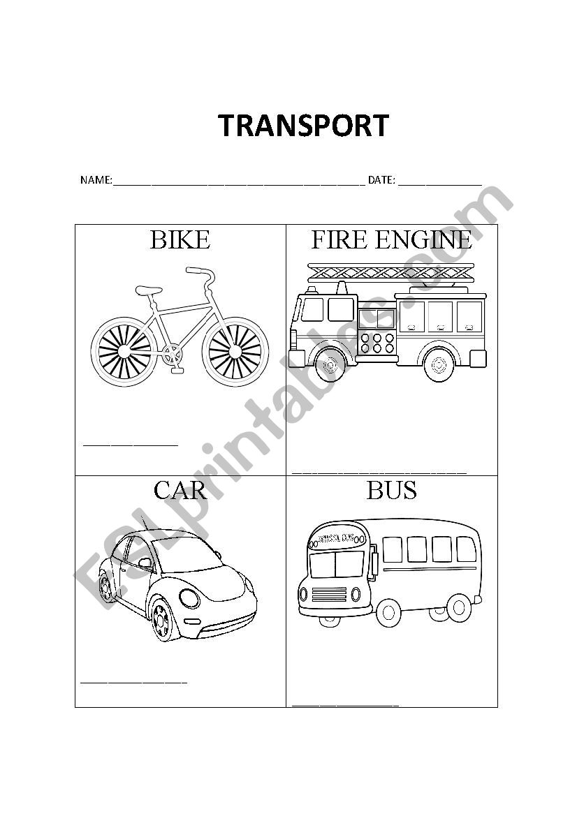 transport worksheet