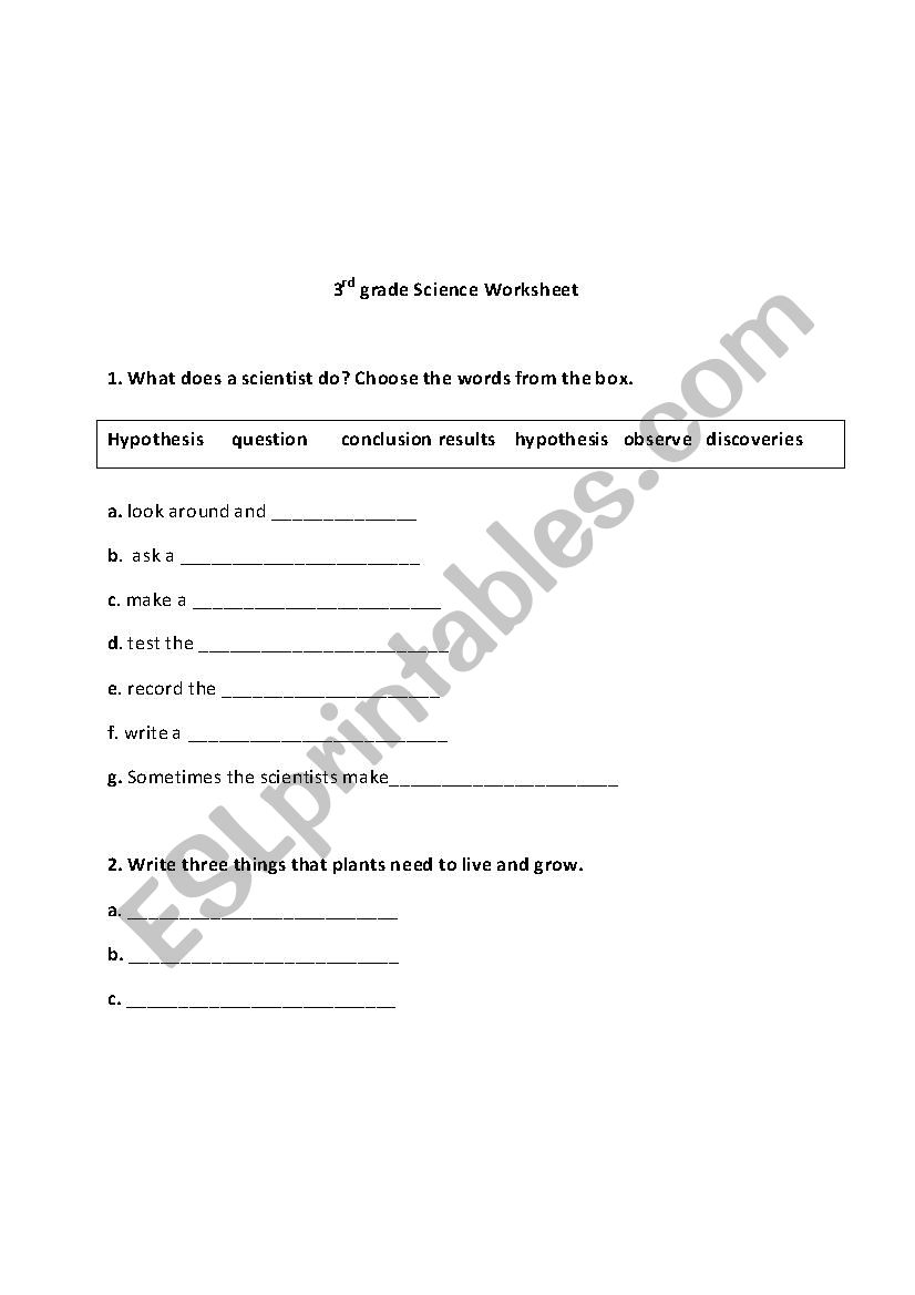 Science plants worksheet worksheet