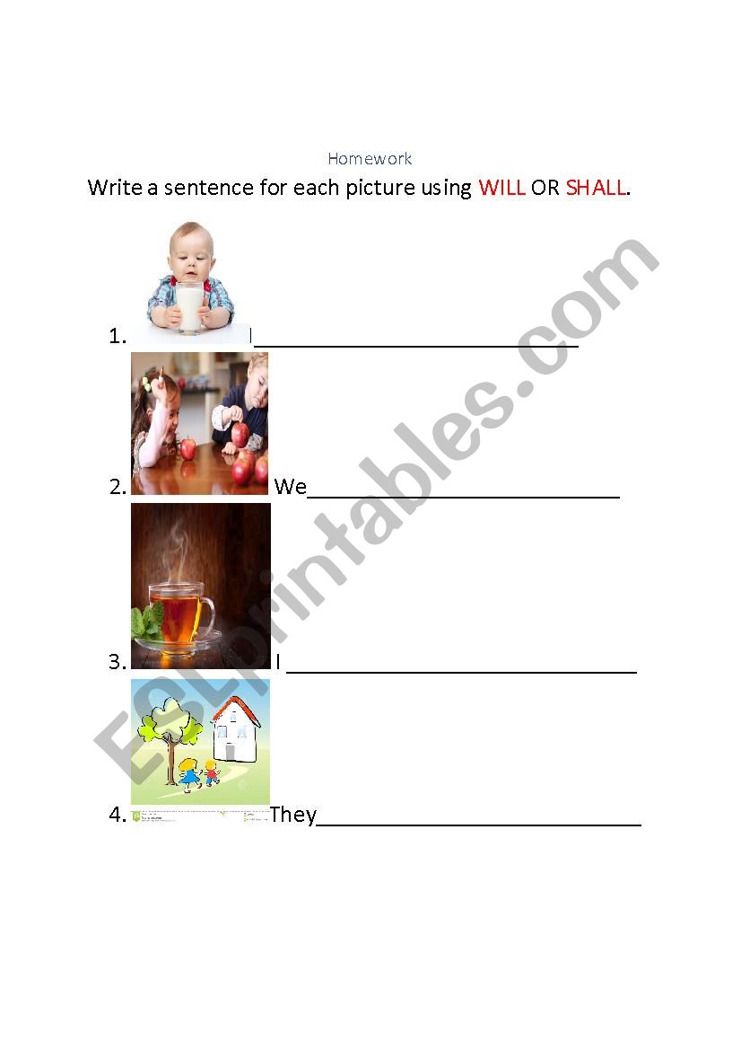 Will - Shall worksheet