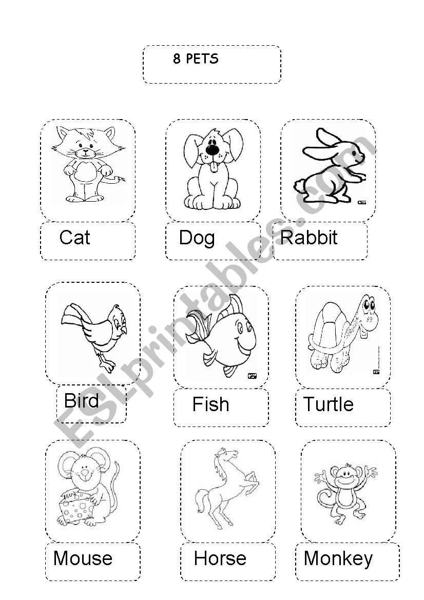 pets worksheet