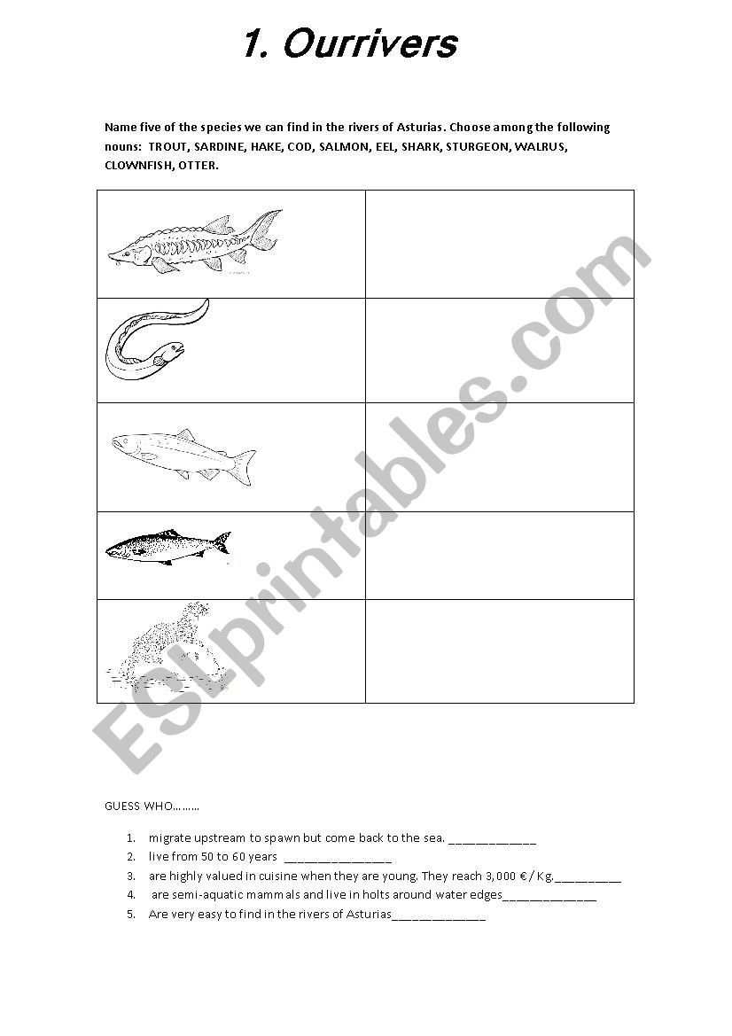 Fish from Atlantic rivers worksheet