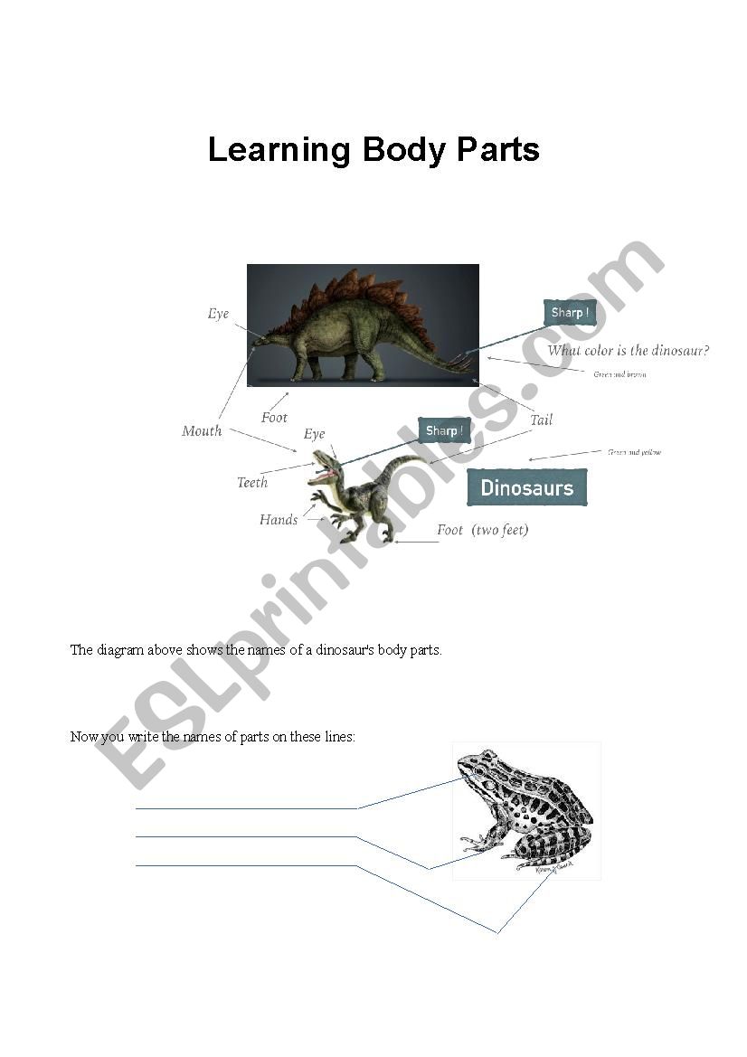 Dino Body Parts, Identifying parts of the body