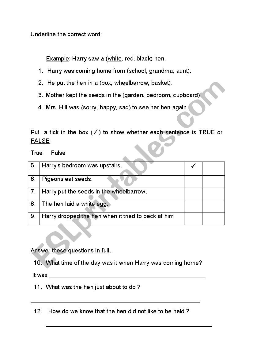 Reading Comprehension - Snowys Playtime