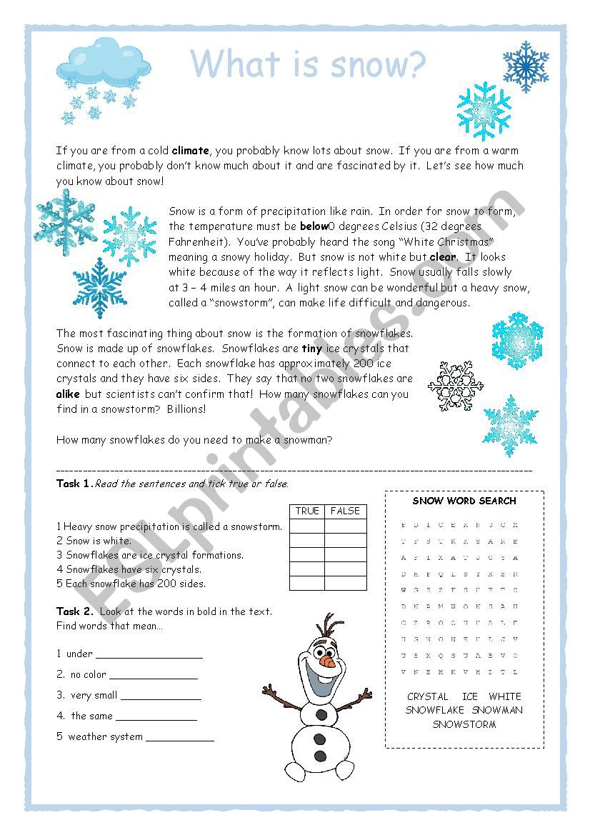 Snow Reader Activity worksheet