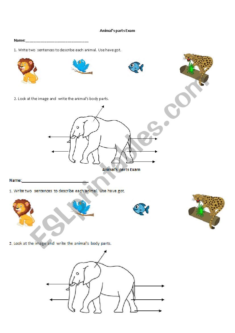 animals body parts esl worksheet by superteacher0712