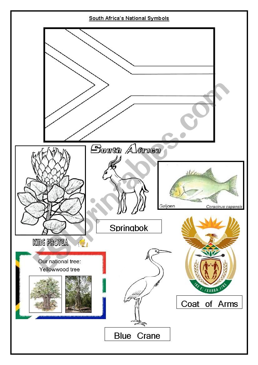 South African Symbols