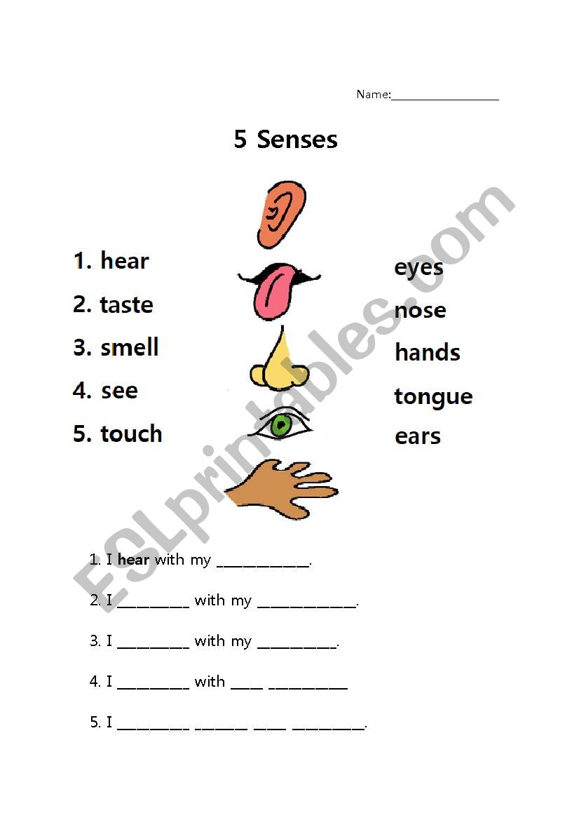 5 Senses Writing Worksheet - Fully Editable