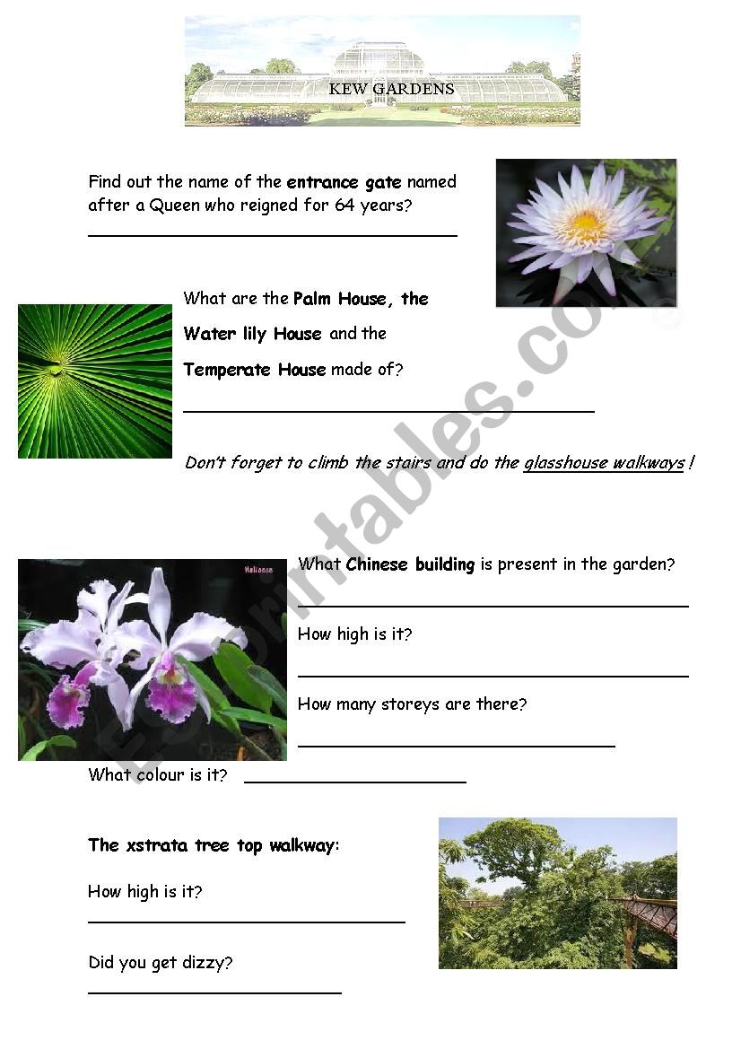 Kew Garden worksheet