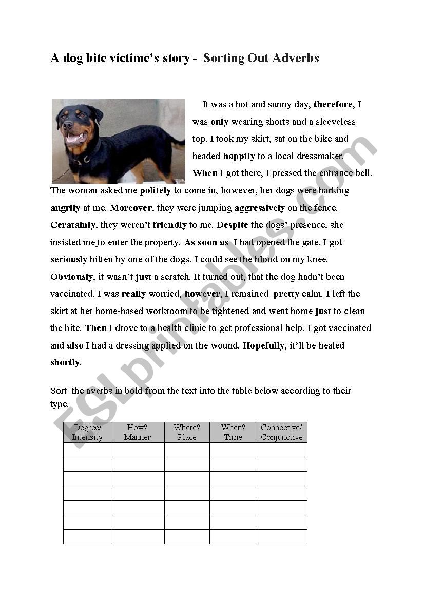 adverbs-and-the-true-story-key-included-esl-worksheet-by-glutenfree