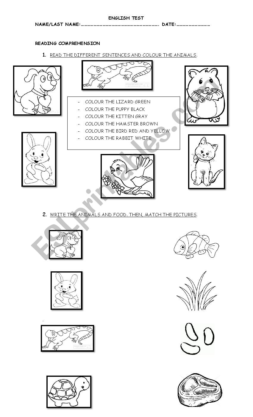 ANIMALS worksheet