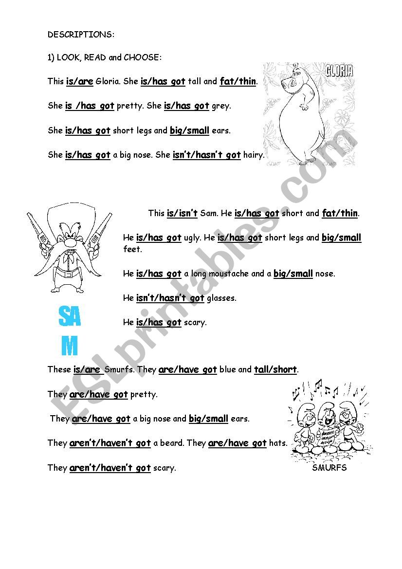 descriptions worksheet