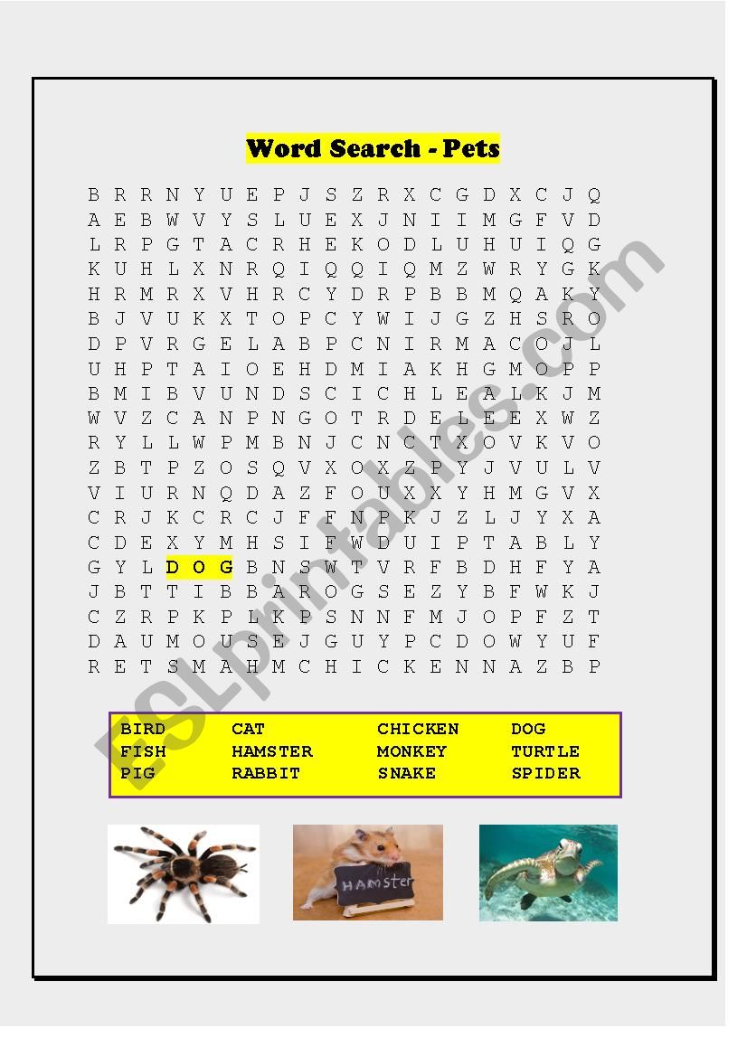 WORDSEARCH-12 PETS worksheet