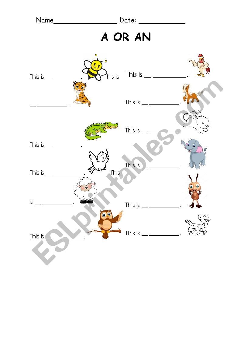 articles (a or an) worksheet