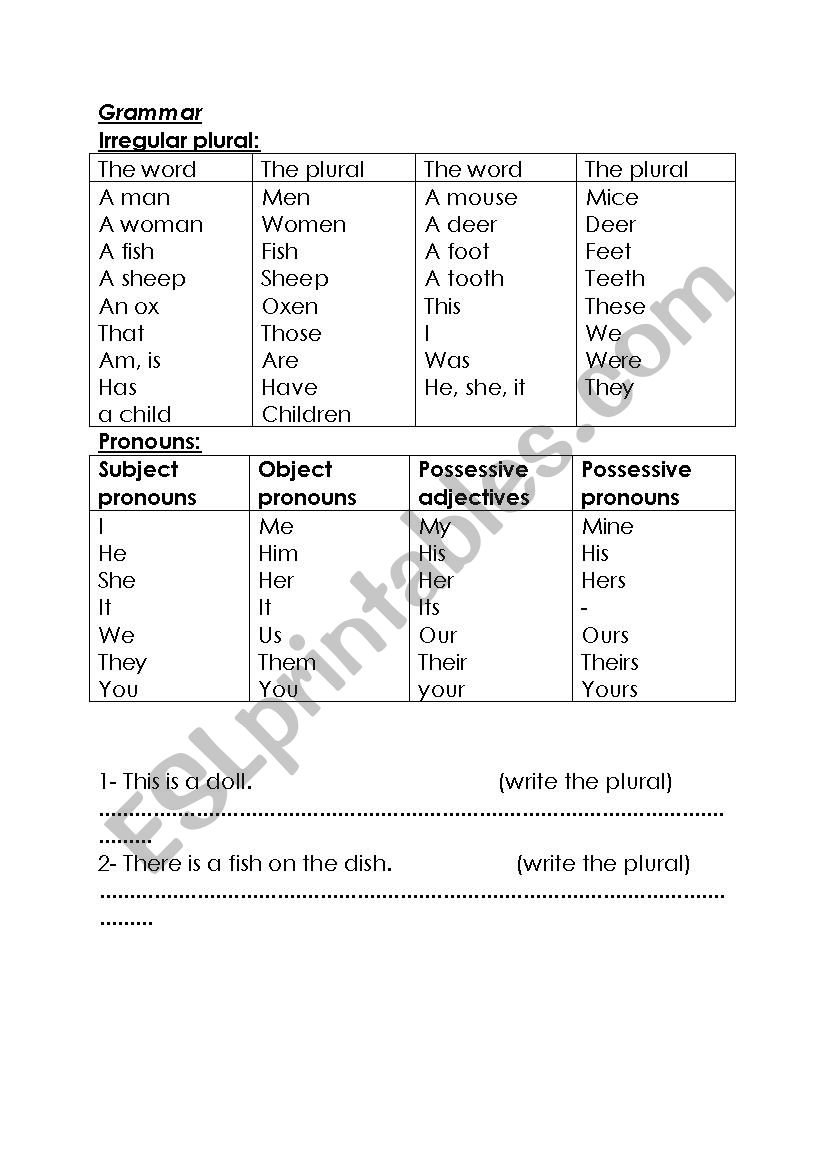 irregular plural worksheet