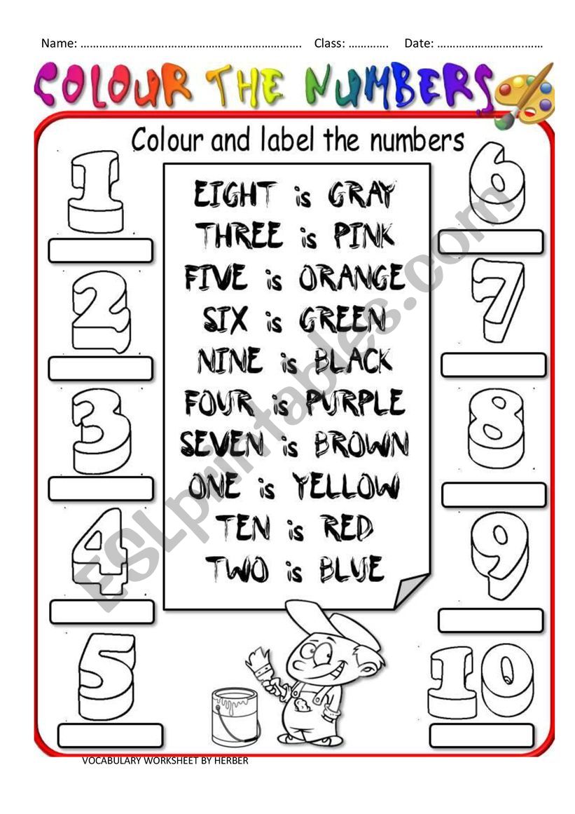 Number Types Worksheet