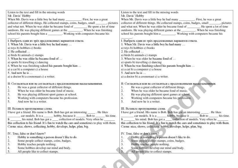 hobby worksheet