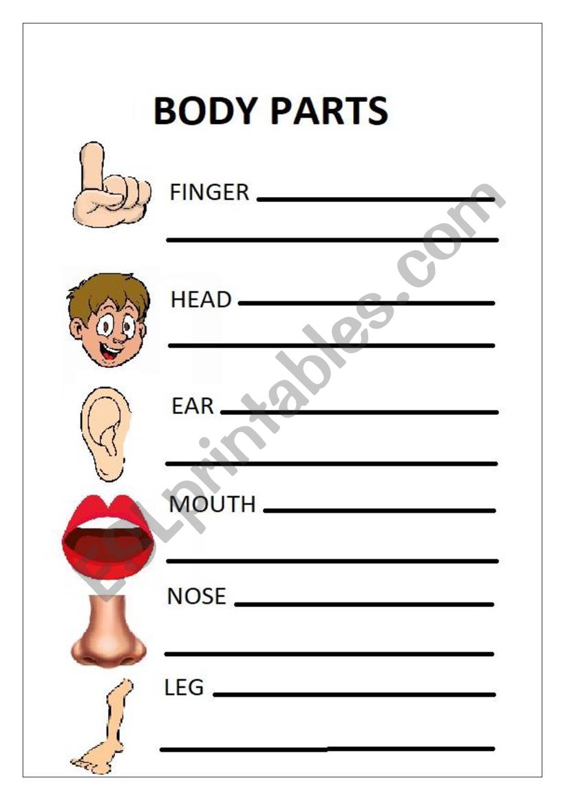 BODY PARTS worksheet