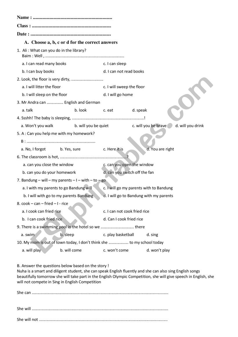 Can and  Will  worksheet
