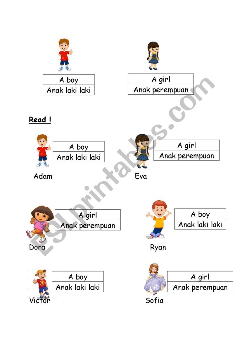 A boy or a girl worksheet