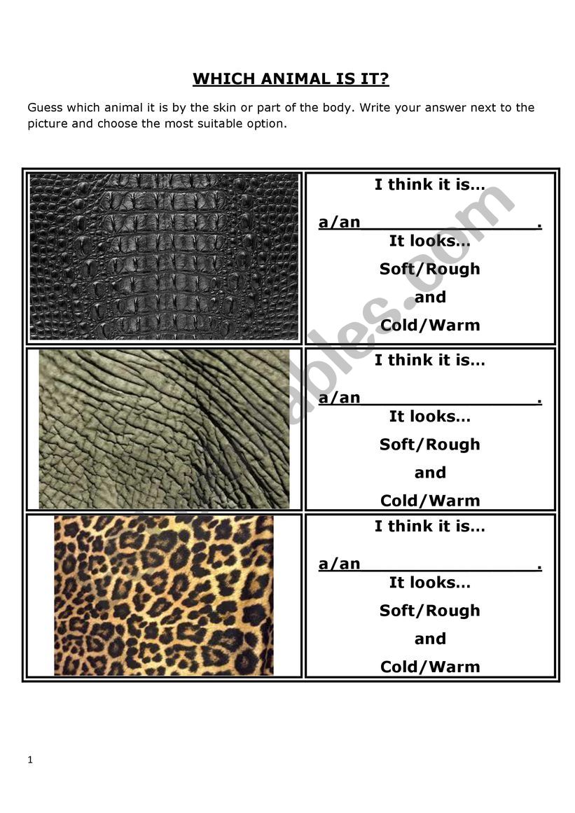 Animals and descriptions worksheet