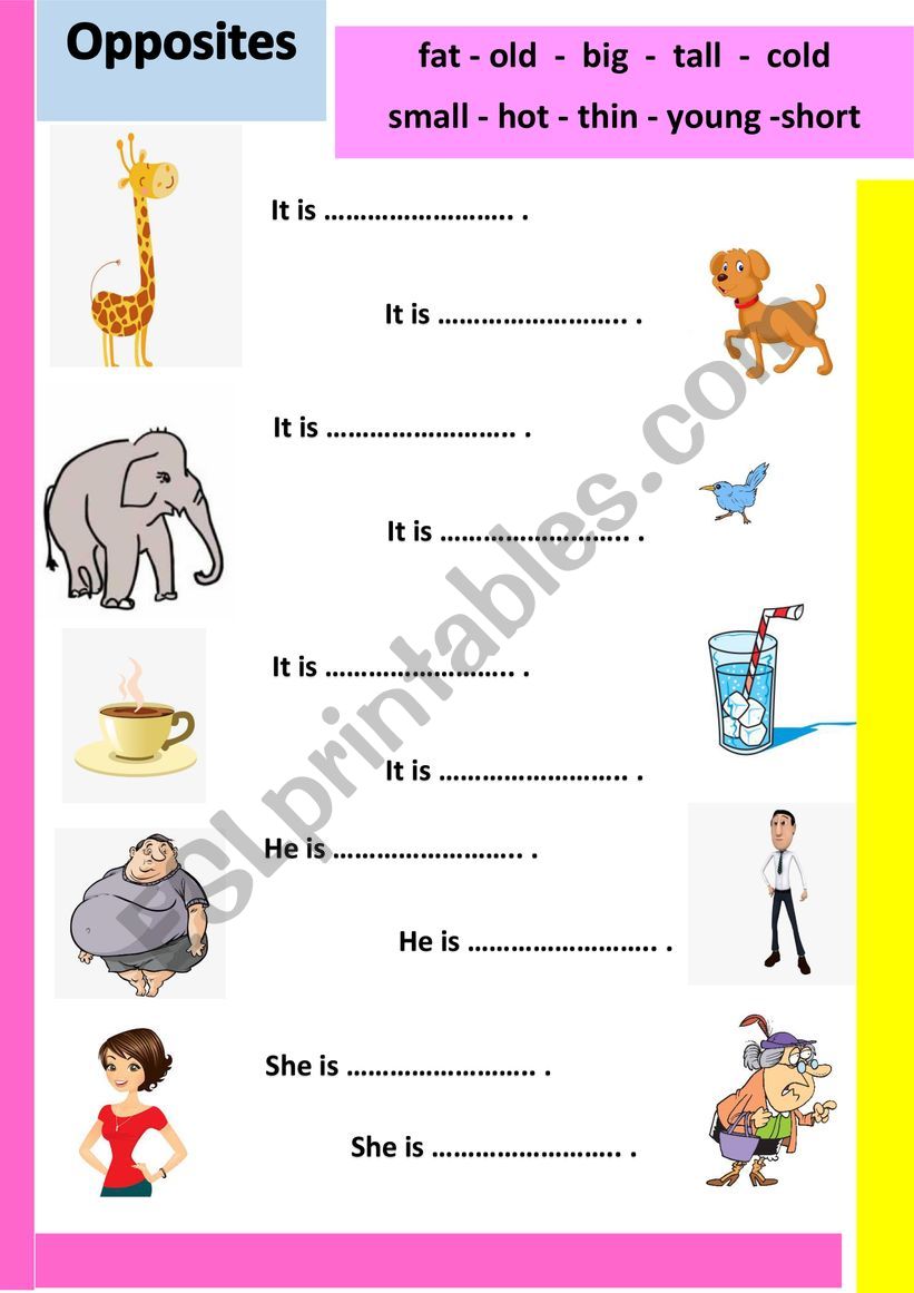 adjectives worksheet