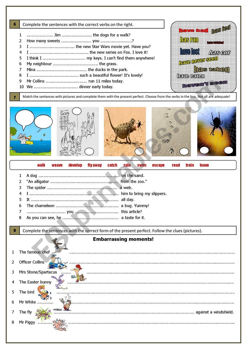 Present Perfect (part 2) worksheet