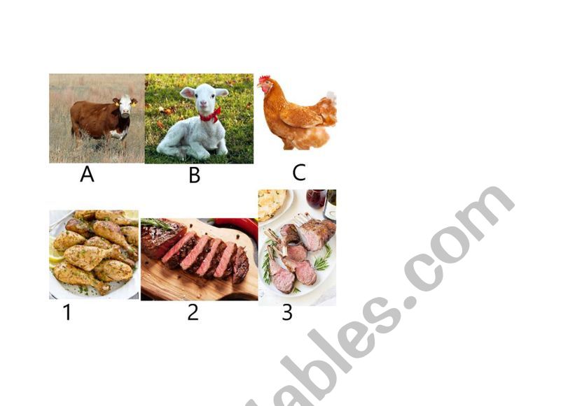 Meat and animal quiz worksheet