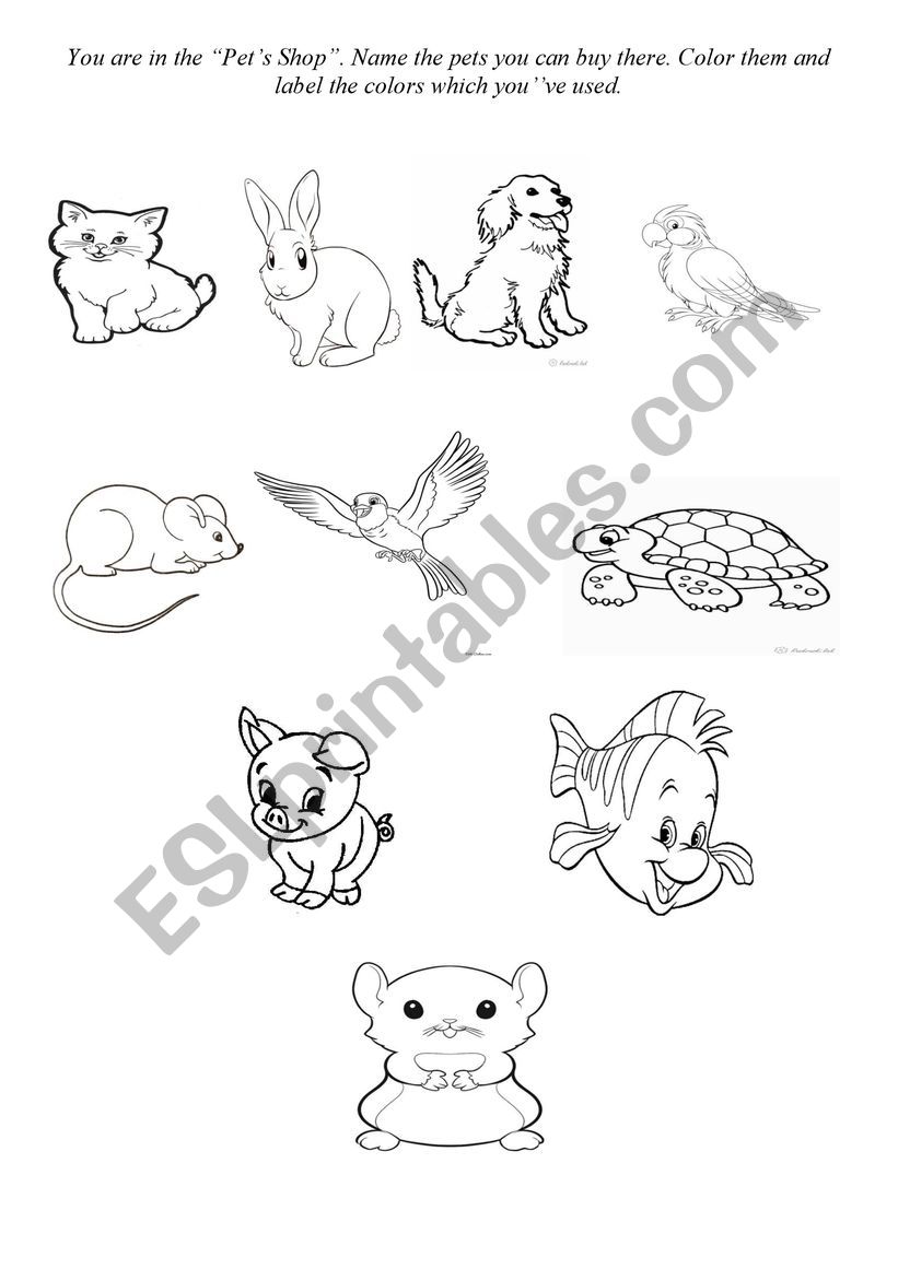 Learn Pets and colors - ESL worksheet by Olienkka