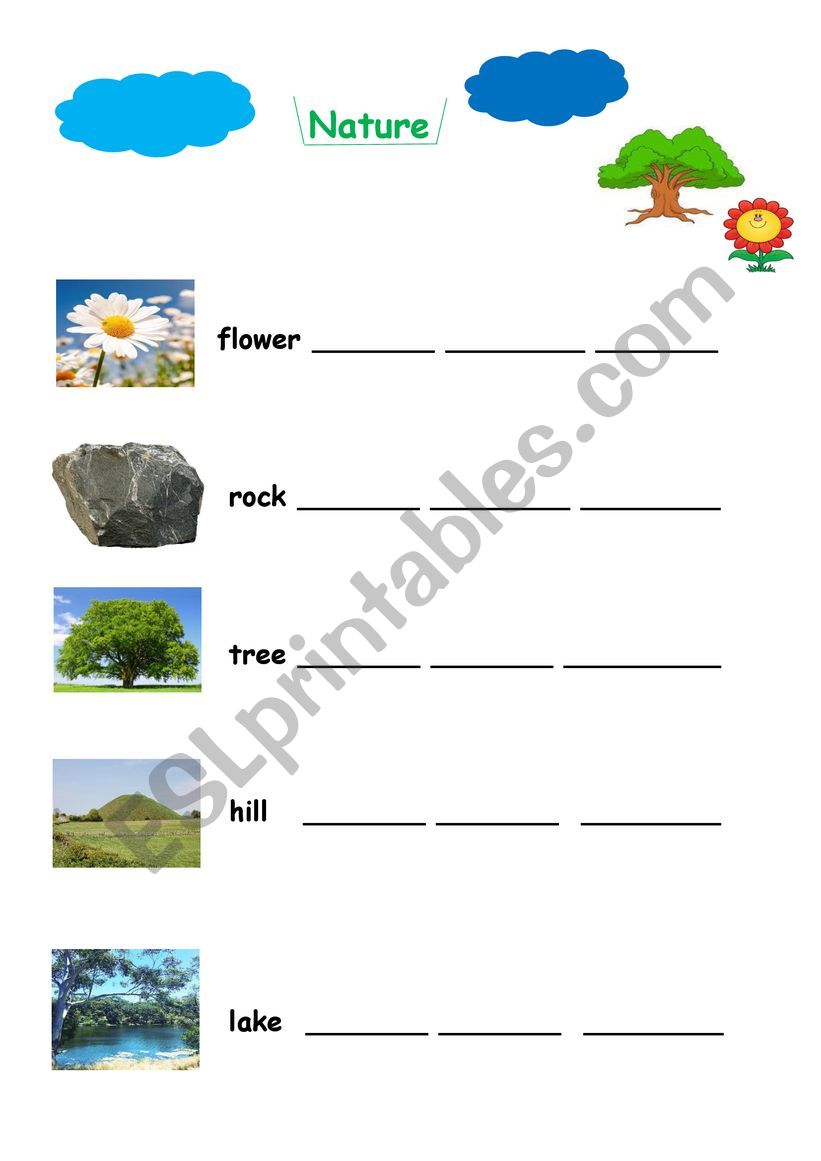 nature worksheet