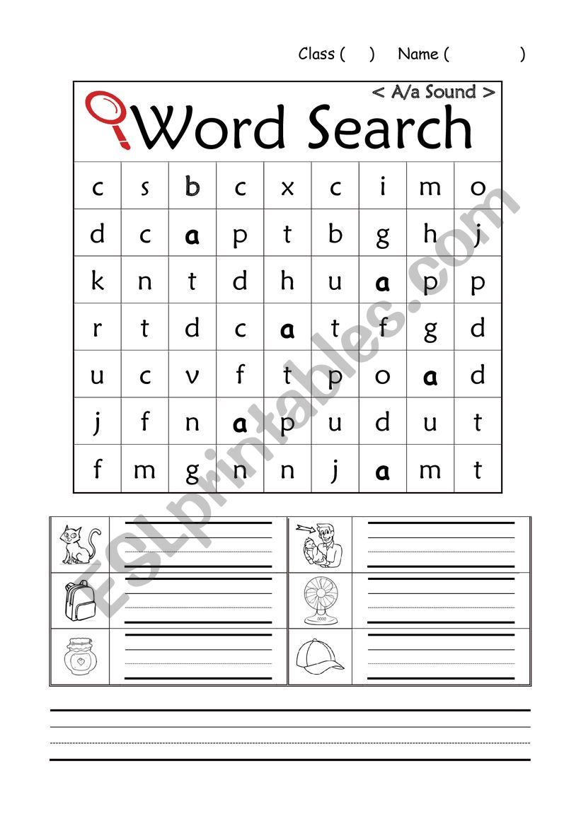 phonics /a/ word search  worksheet
