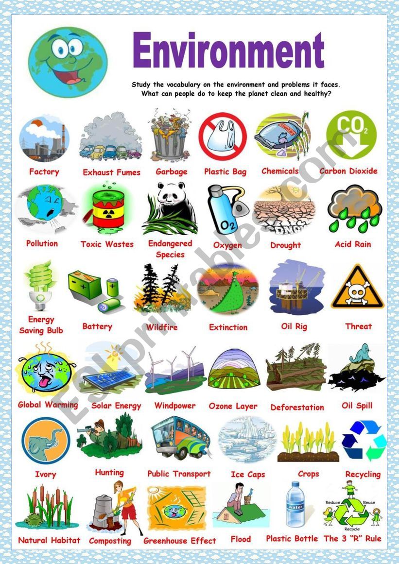 Nature elements pictionary: English ESL worksheets pdf & doc