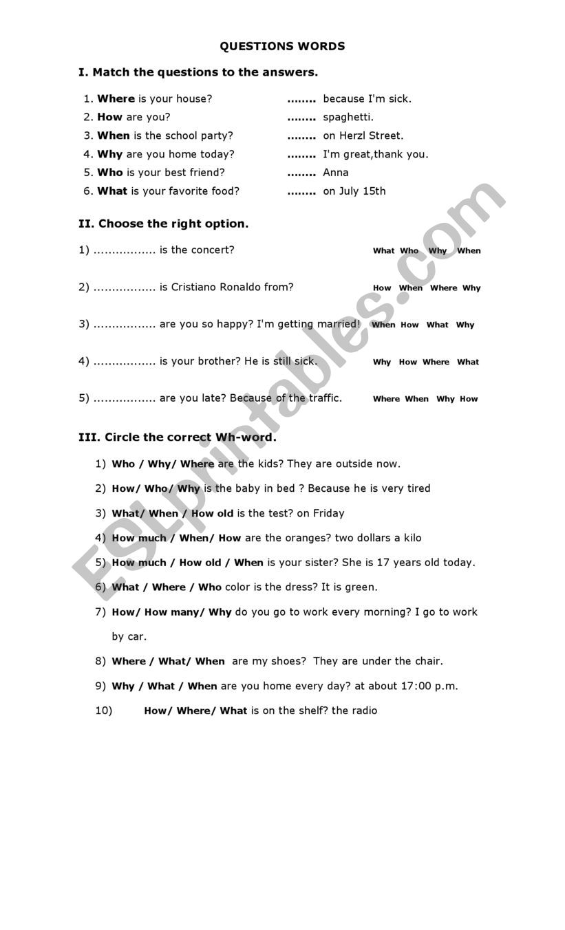 questions words worksheet