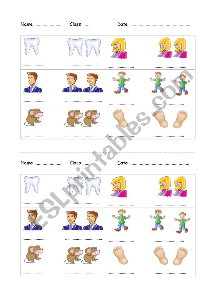 Irregular Plural worksheet