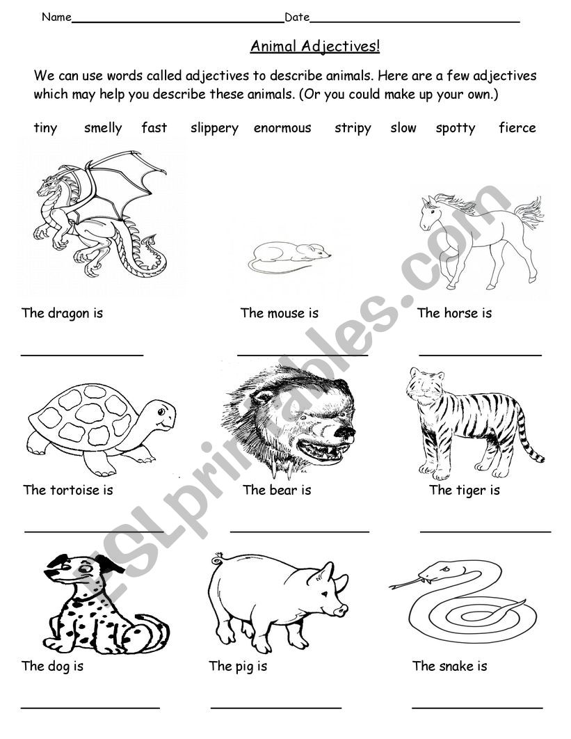 Describing animals worksheet