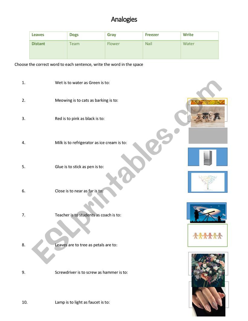 Analogies  worksheet