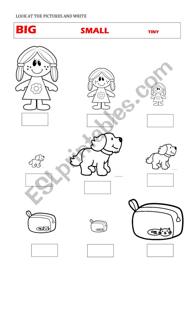 Big Small Tiny - ESL worksheet by valeriatere