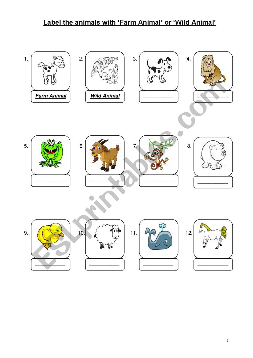 Animals worksheet