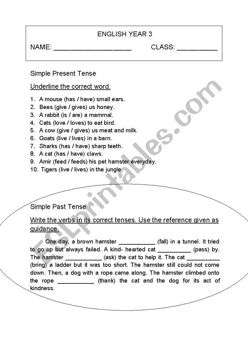 English Year 3 PKSR worksheet