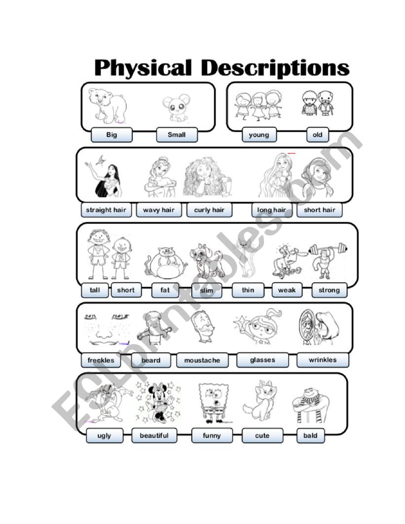 Physical characteristics  worksheet