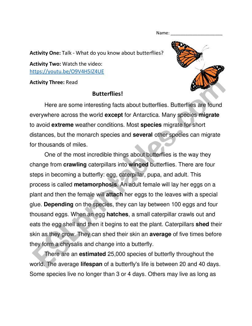 Butterflies Speak, Read, Write, and Grammar